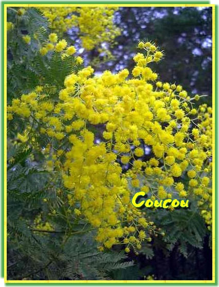 Une belle maxime pour vous retrouver....