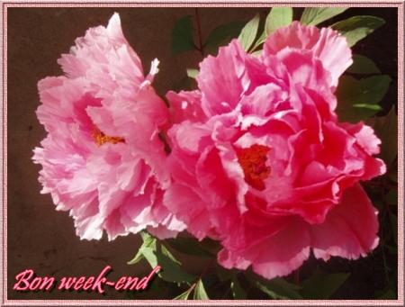 Profitons du beau temps