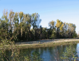 Revoil� l'automne!!